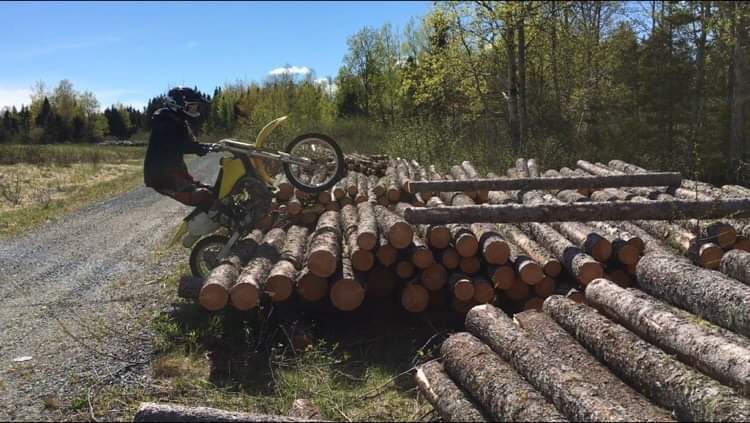 Robyn climbing logs