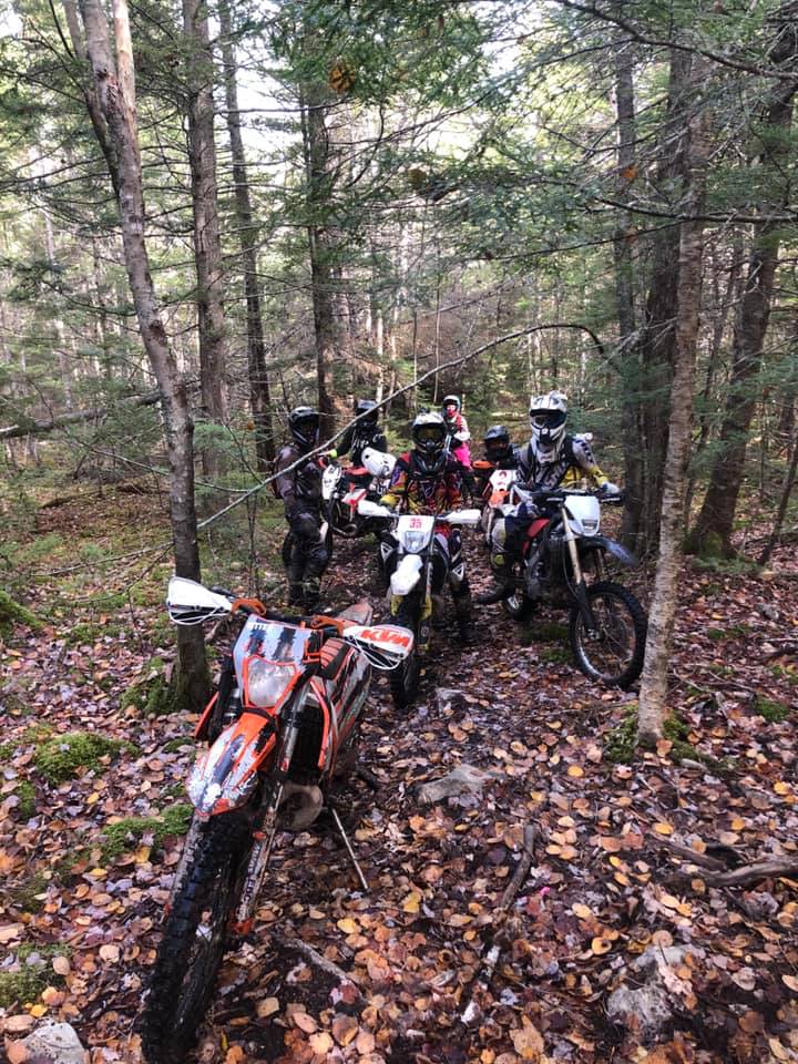 dirt bikes lined up with no riders in the woods