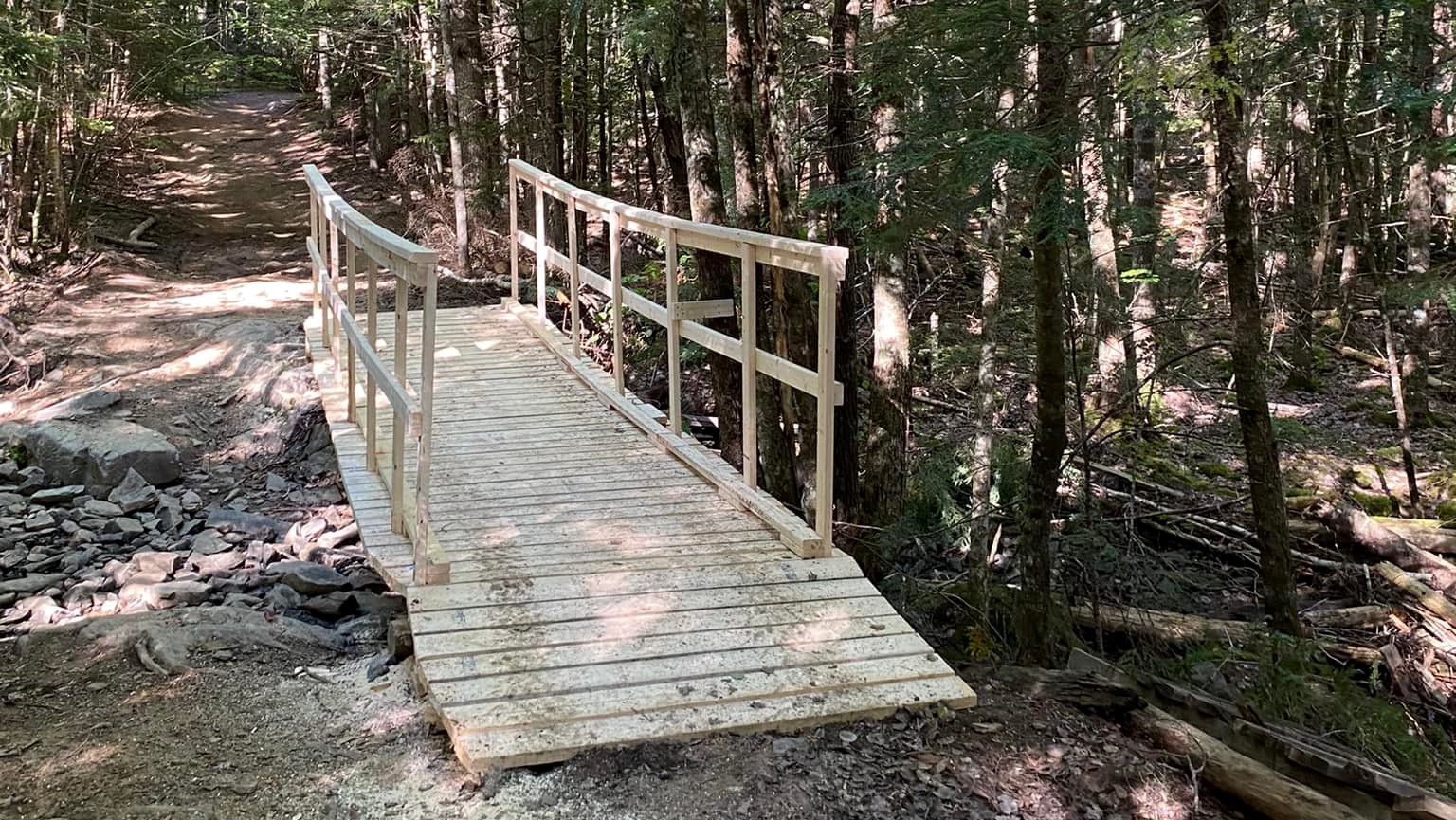 Split pine bridge of a stream