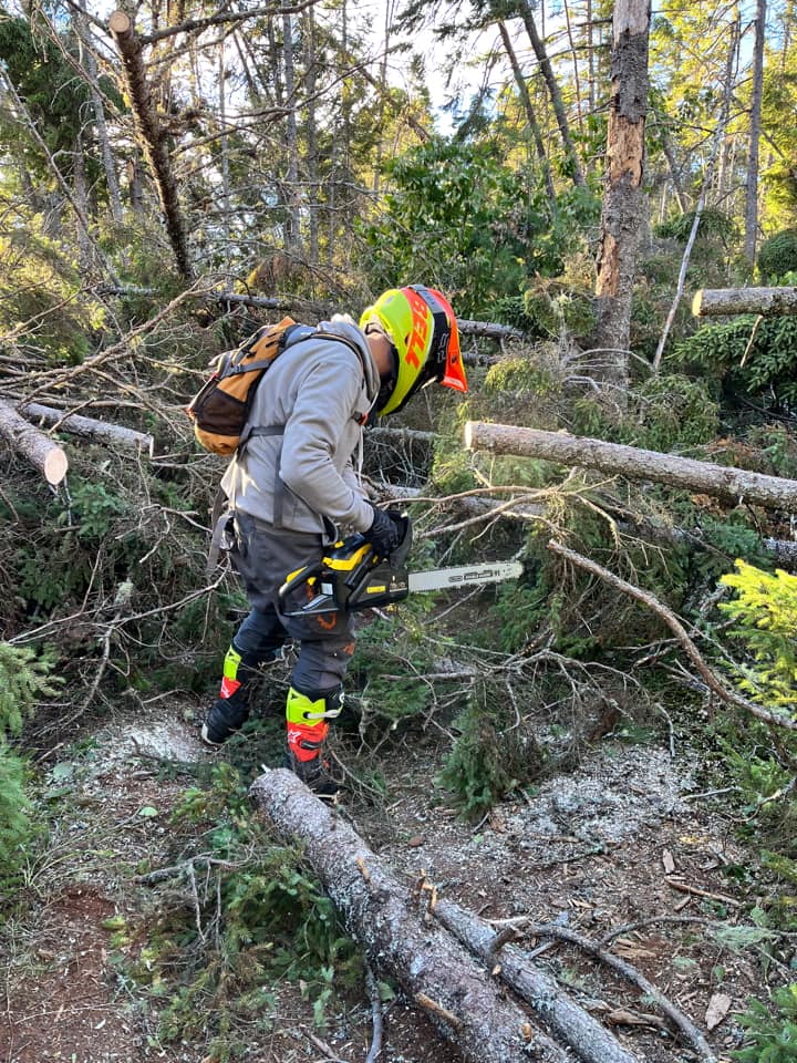 Biker with helmet on using his chainsaw on a tree across the trail