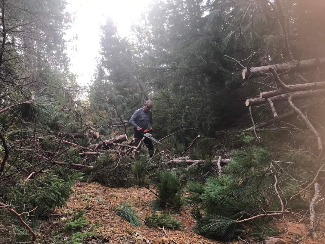 Russell Hache working on trail with chainsaw