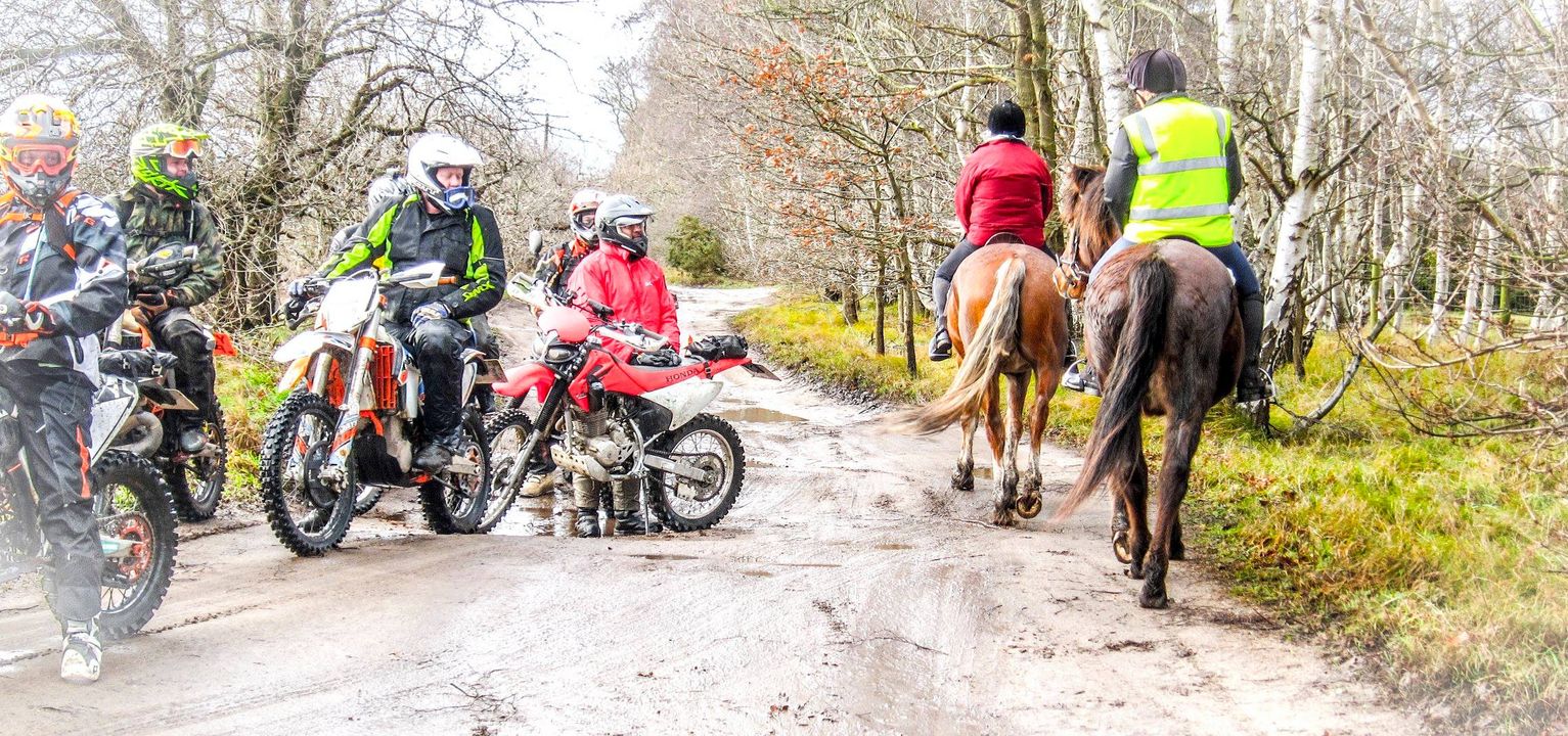 horses on the trail with dirt bikes
