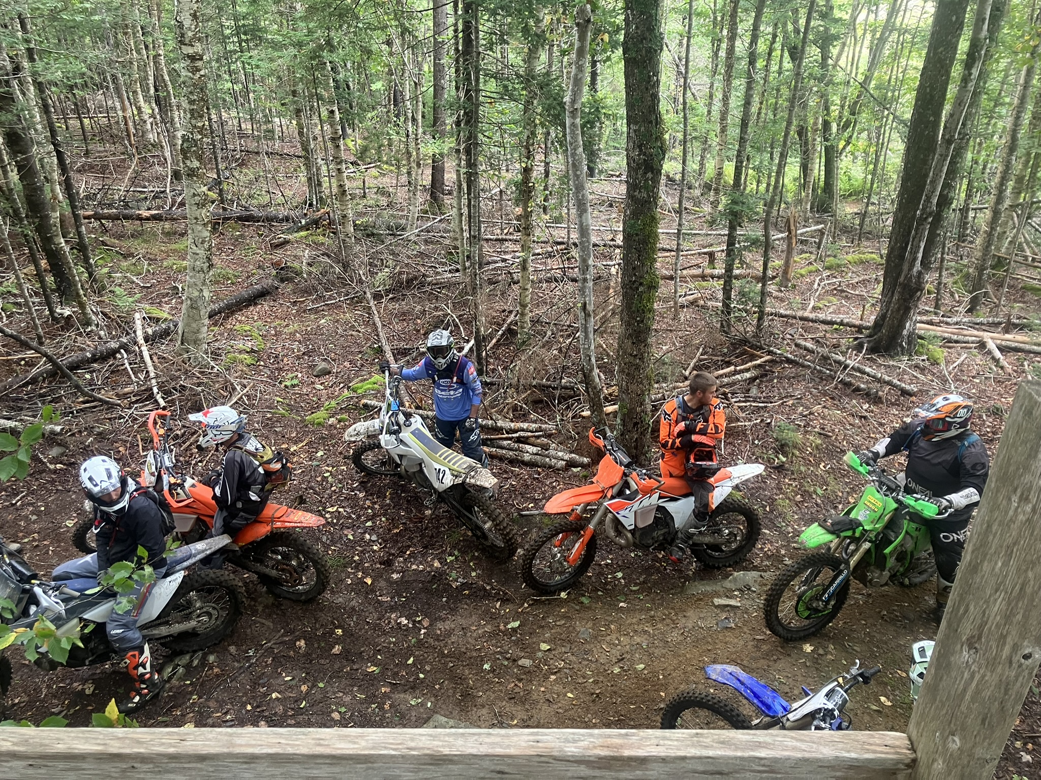 dirt bike riders in the woods from a high view