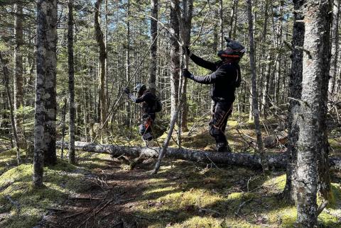 Dirt biker wearing a helmet and trimming branches in the woods